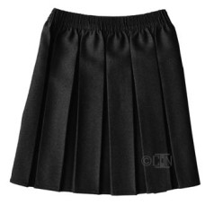 All Round Pleat Skirt